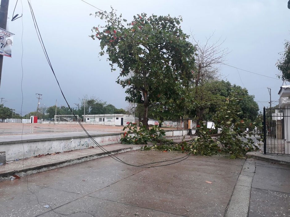 Árboles y redes eléctricas caídas en la cancha Bolívar de Sabanalarga.