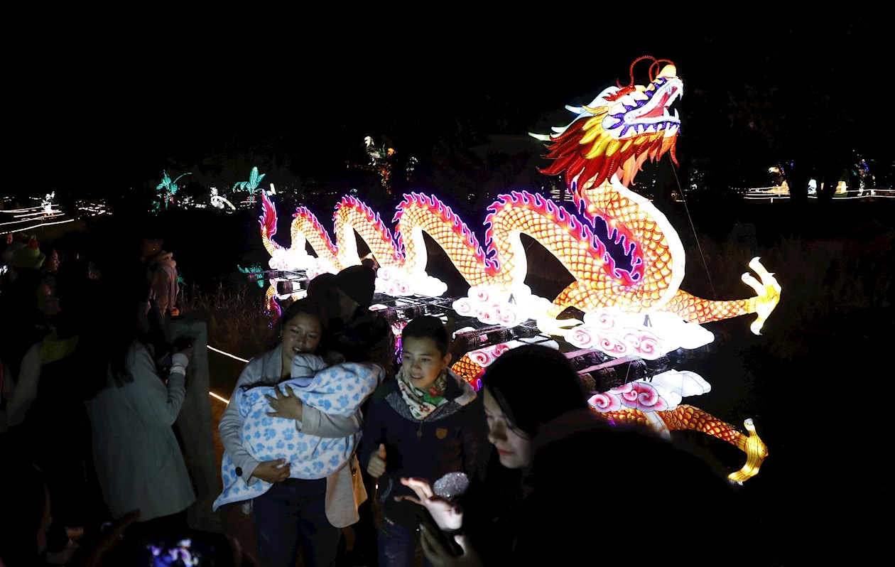 Gigantes de luz hacen parte del "Festival Brilla Colombia".