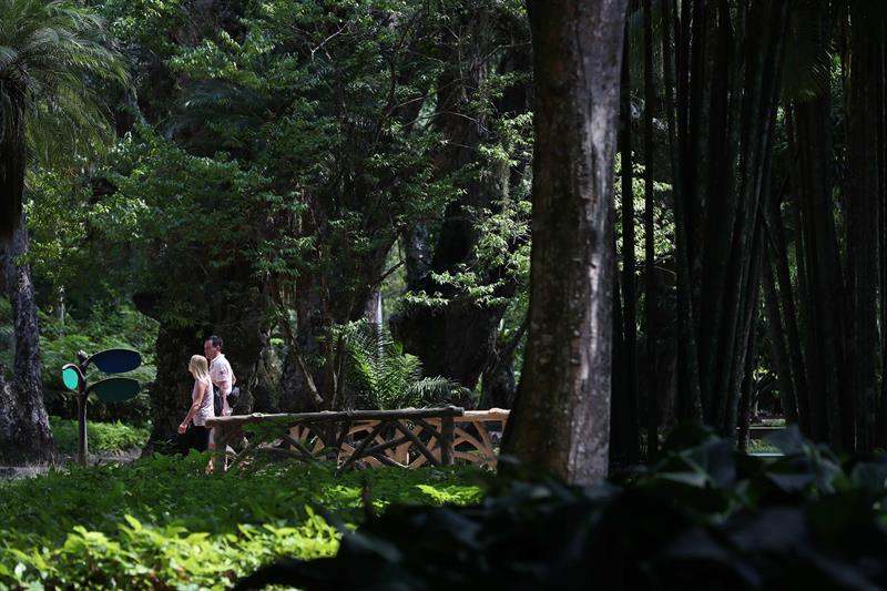  Personas caminan este miércoles por el Jardín Botánico de Río de Janeiro (Brasil). 