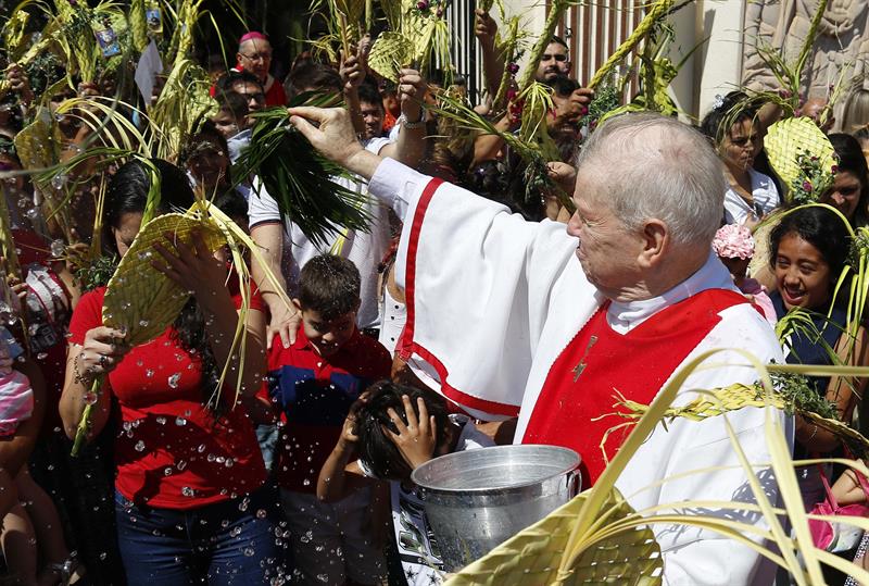 Un sacerdote bendice palmas durante la celebración del Domingo de Ramos este domingo en la Catedral Metropolitana en Asunción, Paraguay.
