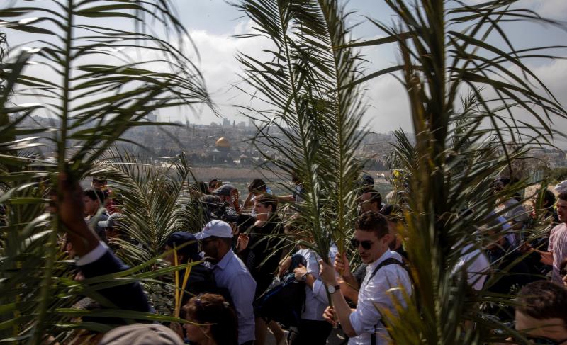 Los peregrinos cristianos llevan grandes hojas de palma en el Monte de los Olivos durante el Domingo de Ramos en el este de Jerusalén.