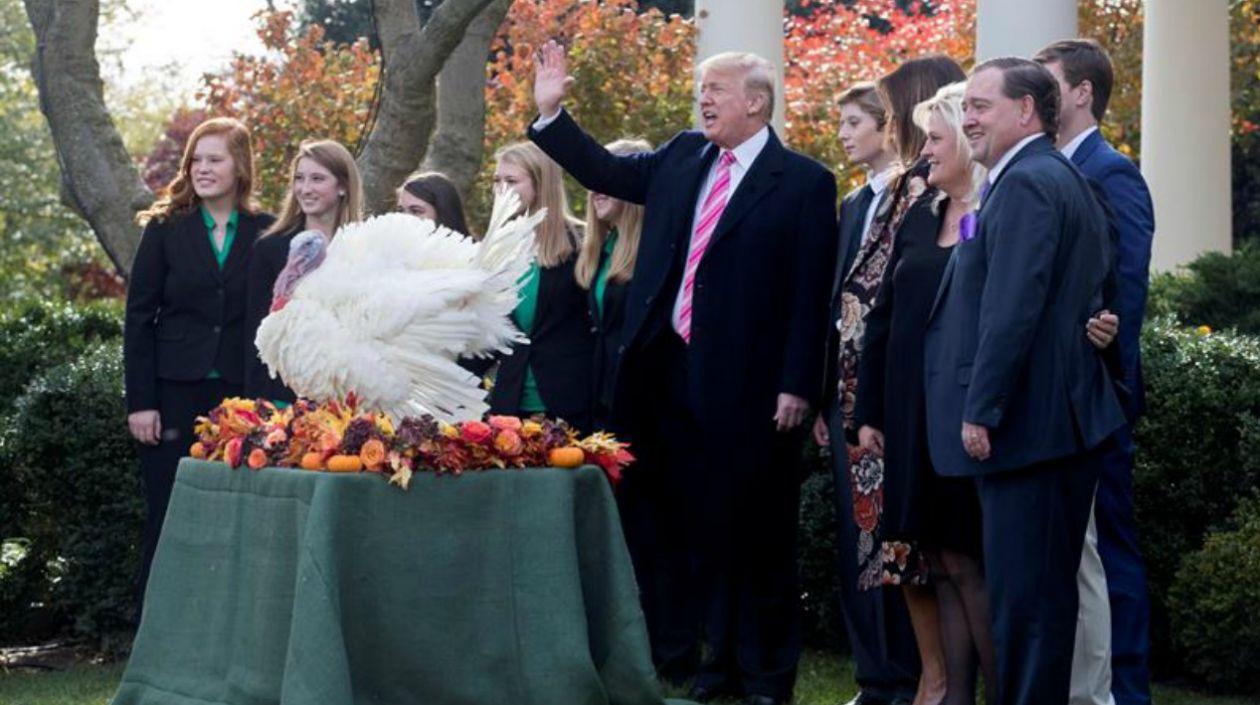  El presidente de los Estados Unidos, Donald J. Trump (c), indultada al pavo de nombre "Drumstick" junto a la primera dama, Melania Trump (4-d).