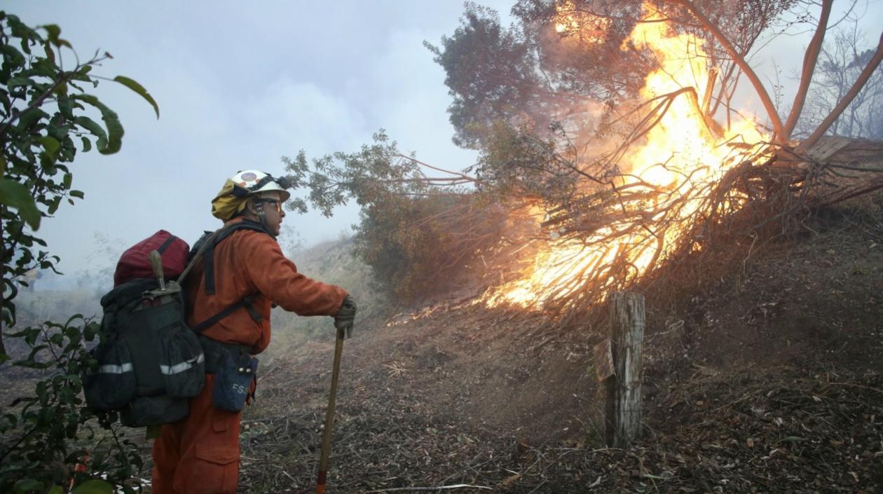 Cientos de bomberos intentan controlar hoy los incendios que arrasan miles de hectáreas en el sureste de California.