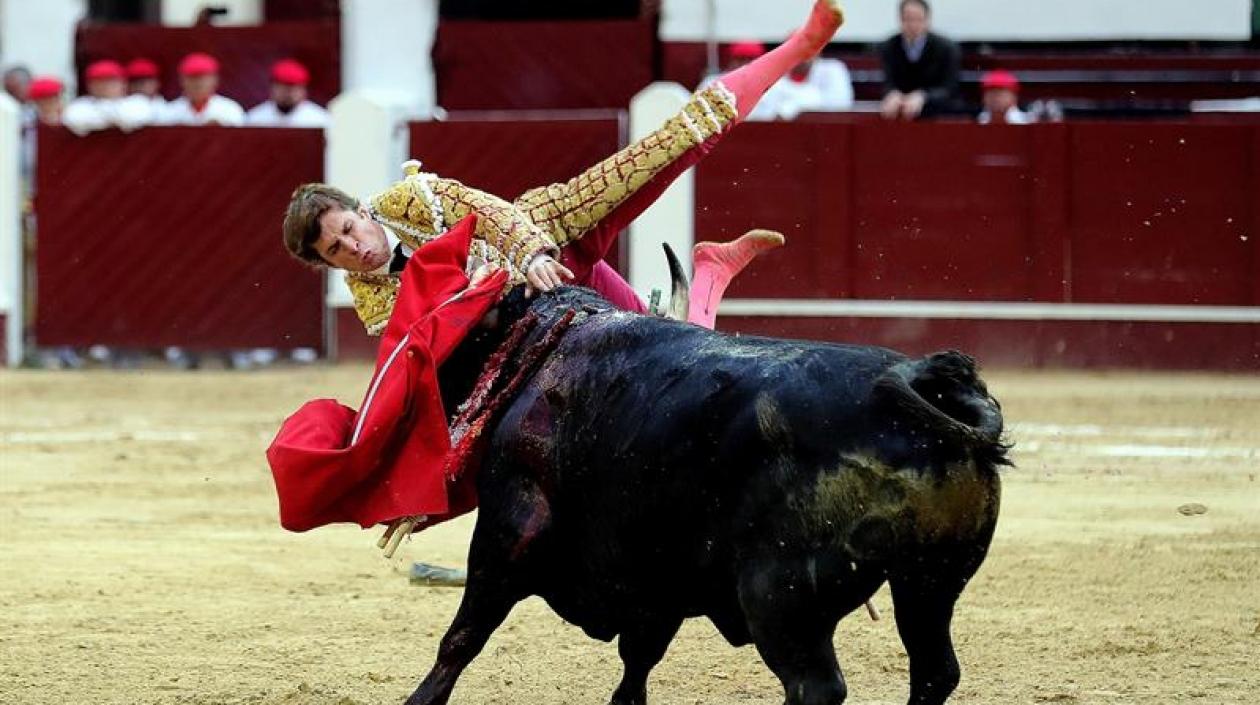 "El Juli", es embestido por el toro "Lancero en la Plaza de Toros Santamaría.