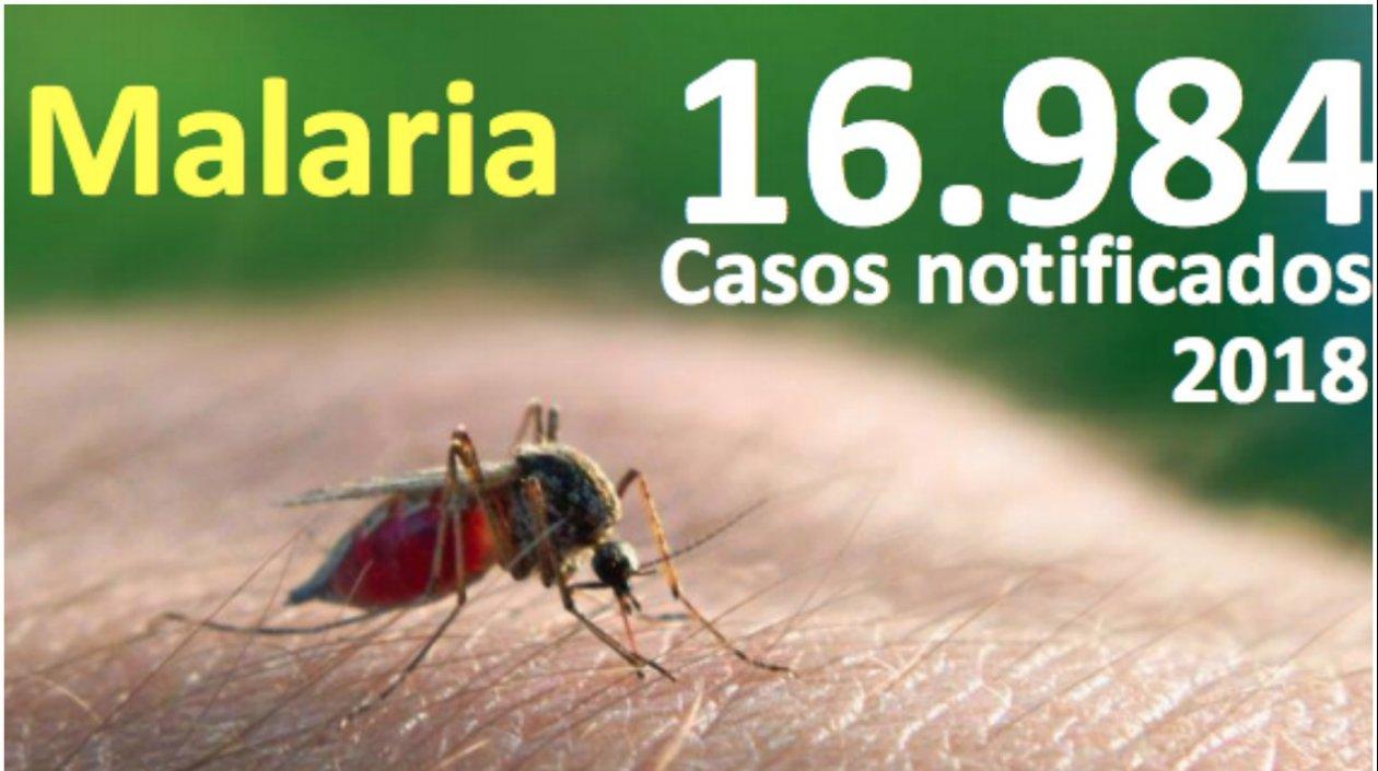 Han sido notificados 16,984 casos de malaria en Colombia en 2018, según INS.