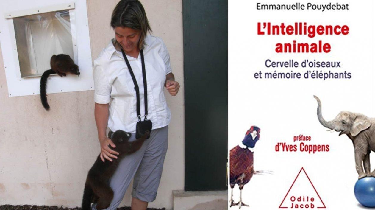 Emmanuelle Pouydebat, investigadora francesa, autora del libro La inteligencia animal.