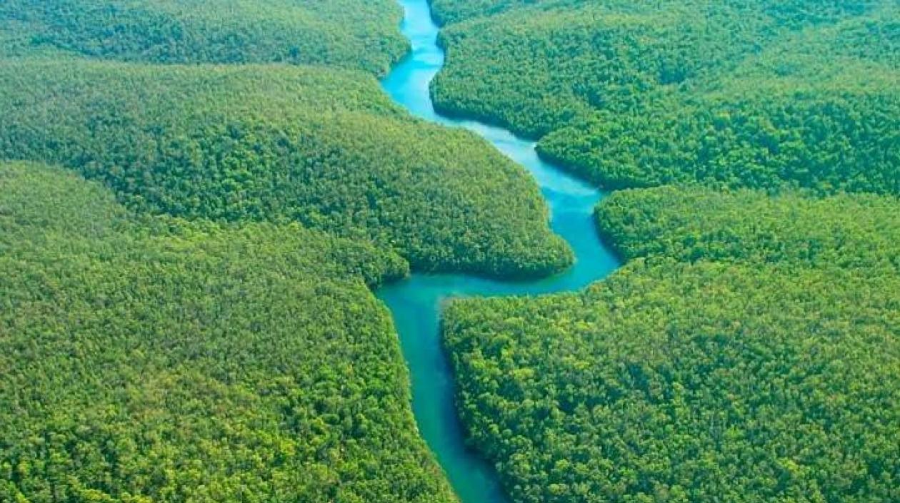 La Amazonía colombiana.