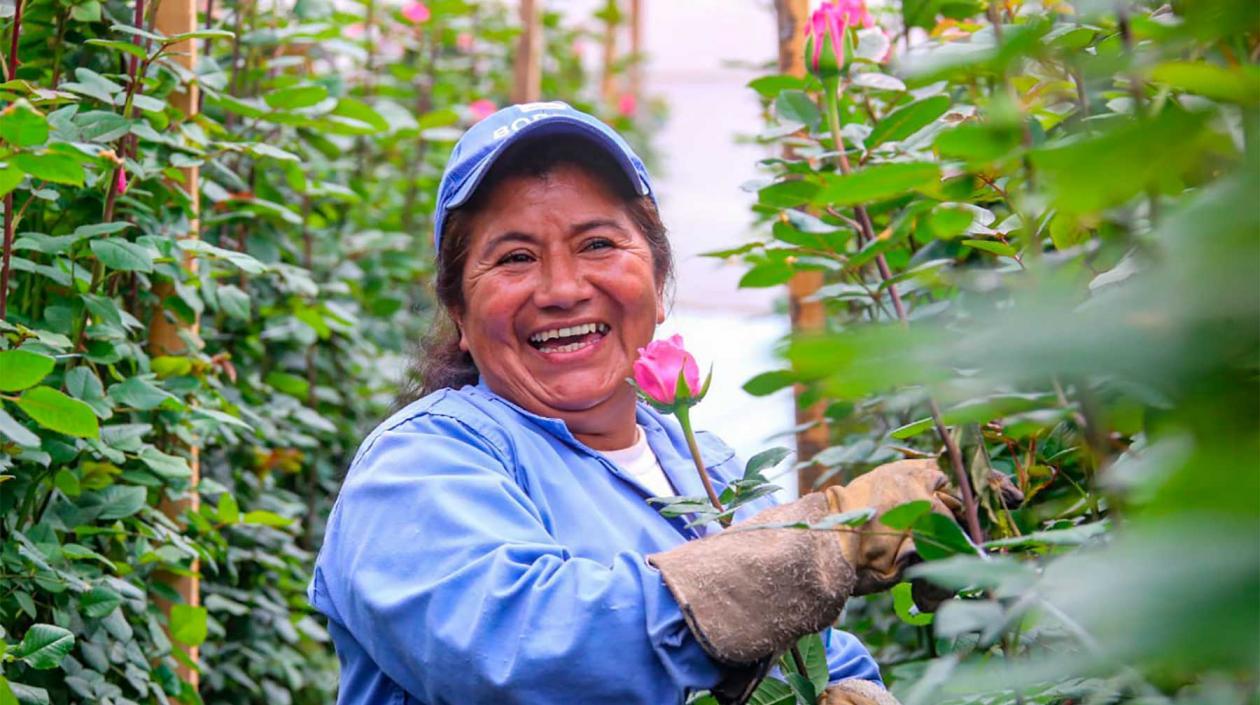 La Viceministra de Asuntos Agropecuarios del Ministerio de Agricultura, Marcela Ureña Gómez, destacó que “el sector floricultor genera aproximadamente 90.000 empleos rurales formales directos, especialmente a madres cabezas de familia”.