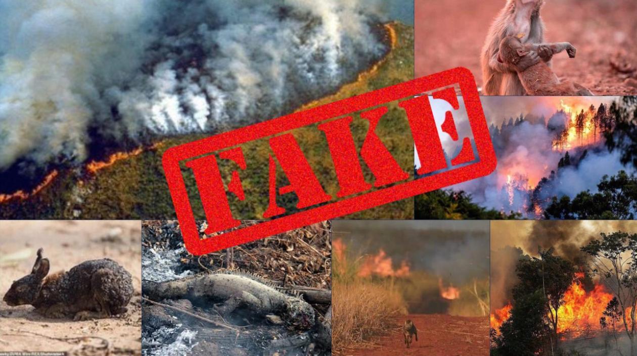 Ninguna de estas fotos corresponde a la Amazonía en llamas.