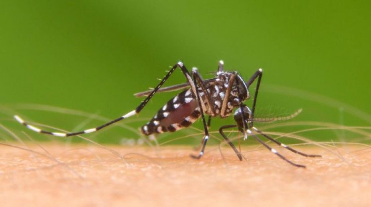 Los casos de dengue están disparados en Barranquilla y el Atlántico.