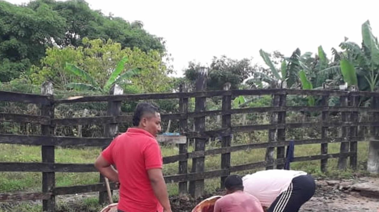 Empleados observan el ganado descuartizado  por los delincuentes