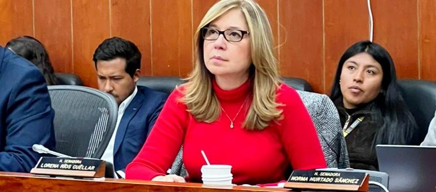 La senadora del Valle del Cauca, Norma Hurtado (Partido de la U)