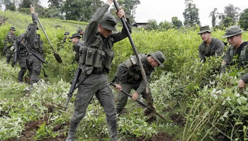 Erradicación de cultivos ilegales en el sur de Colombia