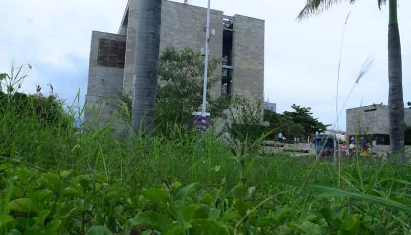 Maleza invade los jardines del Museo del Caribe.