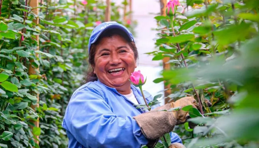 La Viceministra de Asuntos Agropecuarios del Ministerio de Agricultura, Marcela Ureña Gómez, destacó que “el sector floricultor genera aproximadamente 90.000 empleos rurales formales directos, especialmente a madres cabezas de familia”.