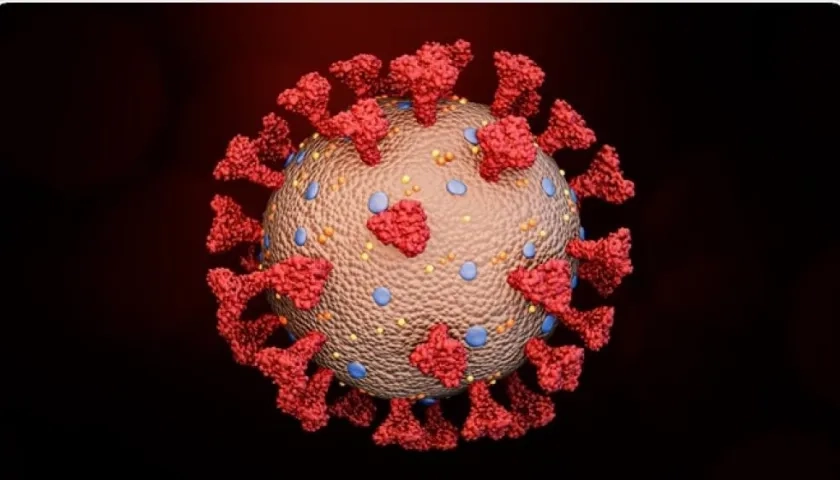 Científicos lograron hacer una simulación animada que muestra cómo funciona ese mecanismo del coronavirus que causa el Covid-19.