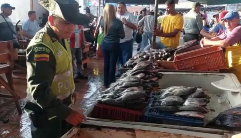 Operativos de la Policía en la comercialización de pescado