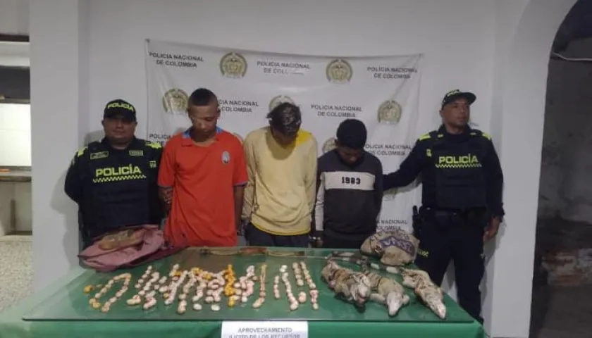 Los detenidos pretendían comercializar los huevos de iguana a los habitantes del municipio.