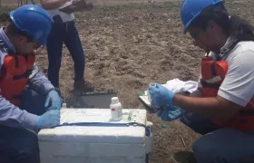 Los expertos tomando muestras del cuerpo de agua.