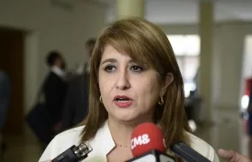Agente Especial de Electricaribe, Ángela Patricia Rojas Combariza