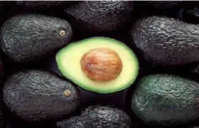Aguacate hass.