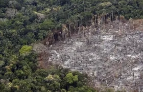 Fotografía de un terreno de selva deforestado, el 22 de febrero de 2020, en el Parque Nacional Natural Tinigua, en el departamento del Meta (Colombia). 