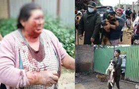 Autoridades se llevaron a los perros que atacaron a una mujer en Bolivia.