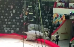 El incidente tuvo lugar en un circo de Kazán.