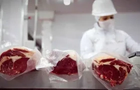 Exportación de carne. 