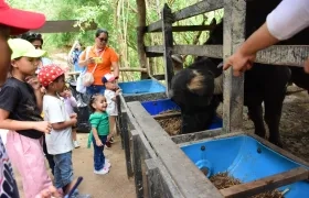 Los niños disfrutan del contacto con la naturaleza y los animales 