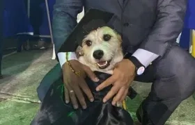 'La mona' en su graduación.