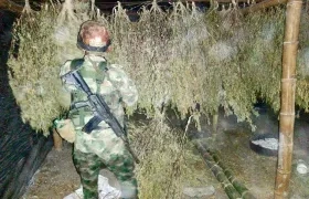 Un soldado vigila la zona del Cauca en donde fueron incautadas 6 toneladas de marihuana