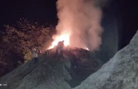 Las llamas alcanzaron varios metros de altura