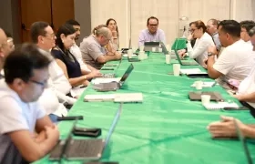 El Procurador delegado ambiental y agrario, Gustavo Guerrero en la mesa de trabajo sobre 'Ciudad Mallorquín'