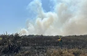 Entidades atienden el incendio forestal.