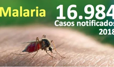 Han sido notificados 16,984 casos de malaria en Colombia en 2018, según INS.