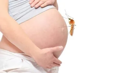 El Zika puede causar infecciones severas y malformaciones en el recién nacido, como microcefalia.