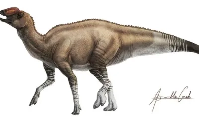 El nuevo género y especie Aquilarhinus palimentus fue un dinosaurio 'pico de pato' que vivió hace unos 80 millones de años.