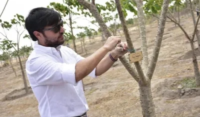 El Alcalde Jaime Pumarejo durante la entrega del Bosque urbano.