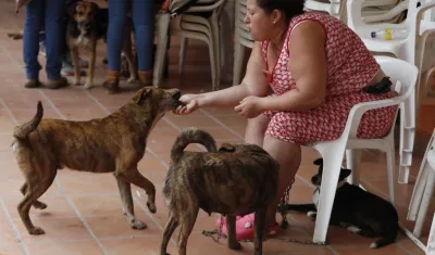 Ana Cristina Martínez juega con sus perros.