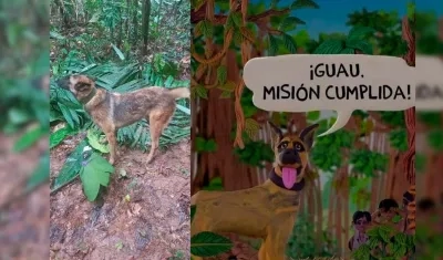 Wilson, el perro desaparecido en la selva