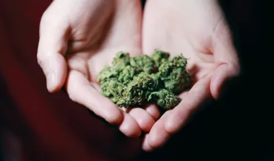 Quienes padecen la adicción al cannabis tienen más riesgo de sufrir cáncer de pulmón, reveló estudio